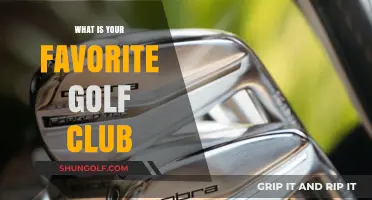 Discovering the Perfect Swing: My Favorite Golf Club Revealed