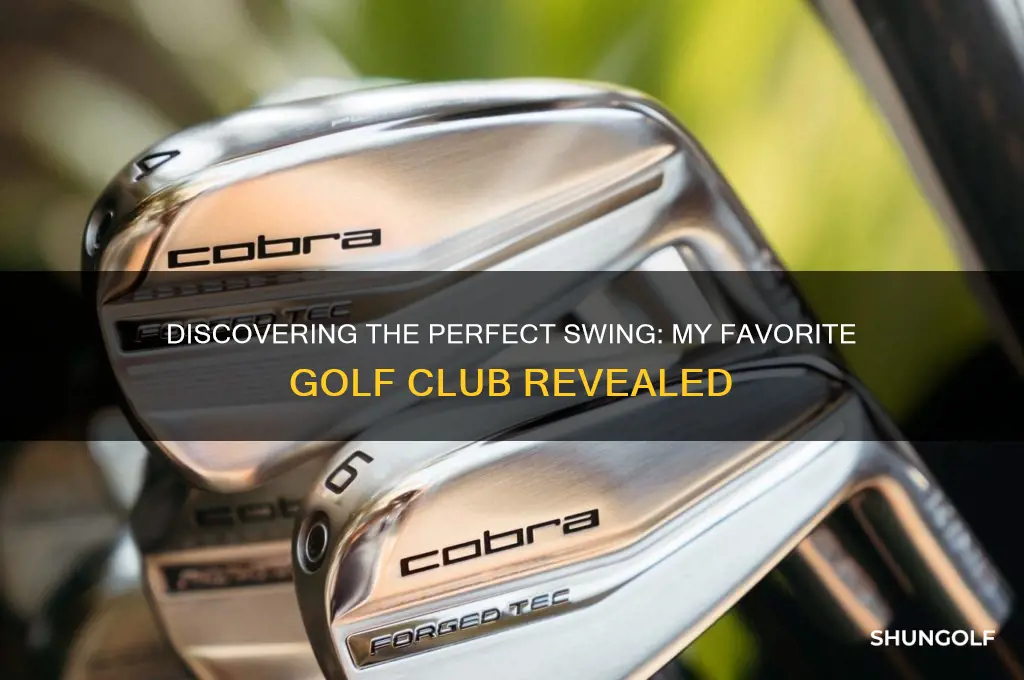 what is your favorite golf club