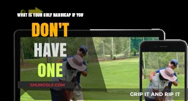 Understanding Your Golf Skill Level Without an Official Handicap