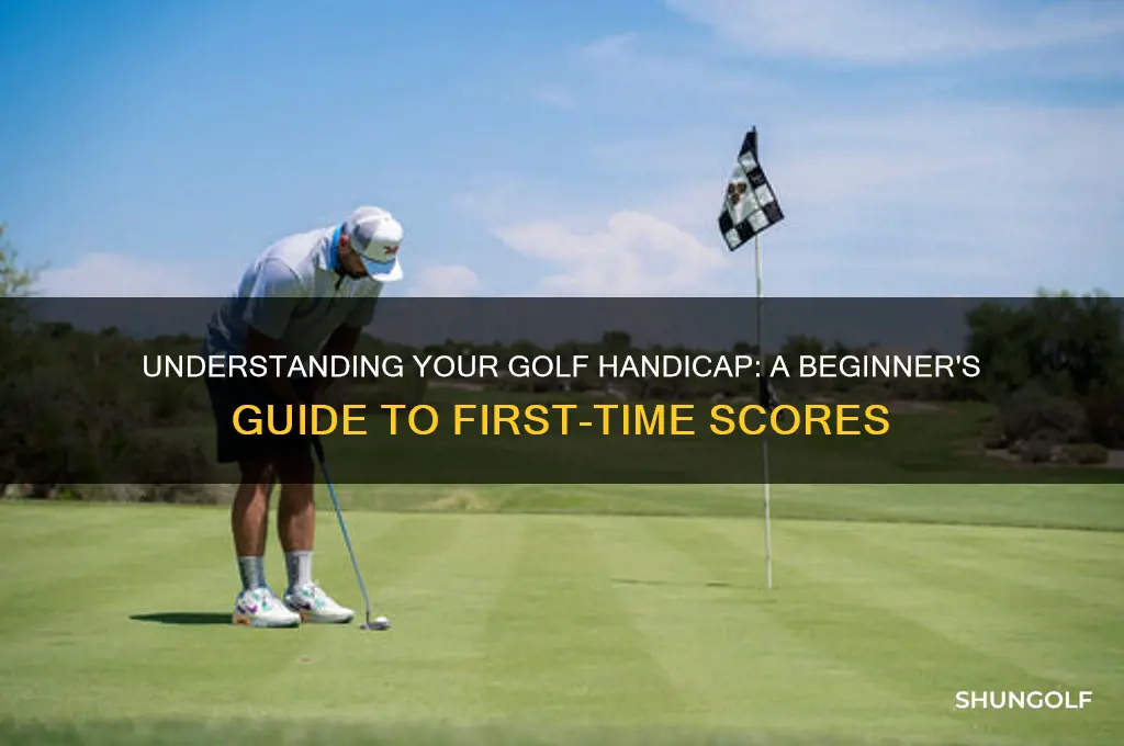 what is your golf handicap your first time