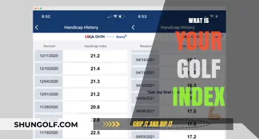Golf Index: Your Handicap's Identity