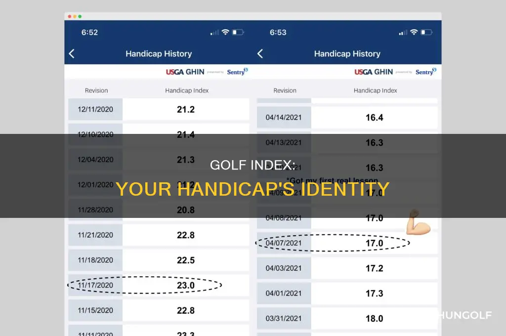 what is your golf index