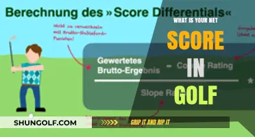 Understanding Your Golf Net Score: Calculation, Importance, and Improvement Tips