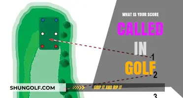 Understanding Golf Scores: What's Your Performance Called on the Course?