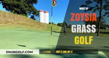 Zoysia Grass: The Golf Course Essential