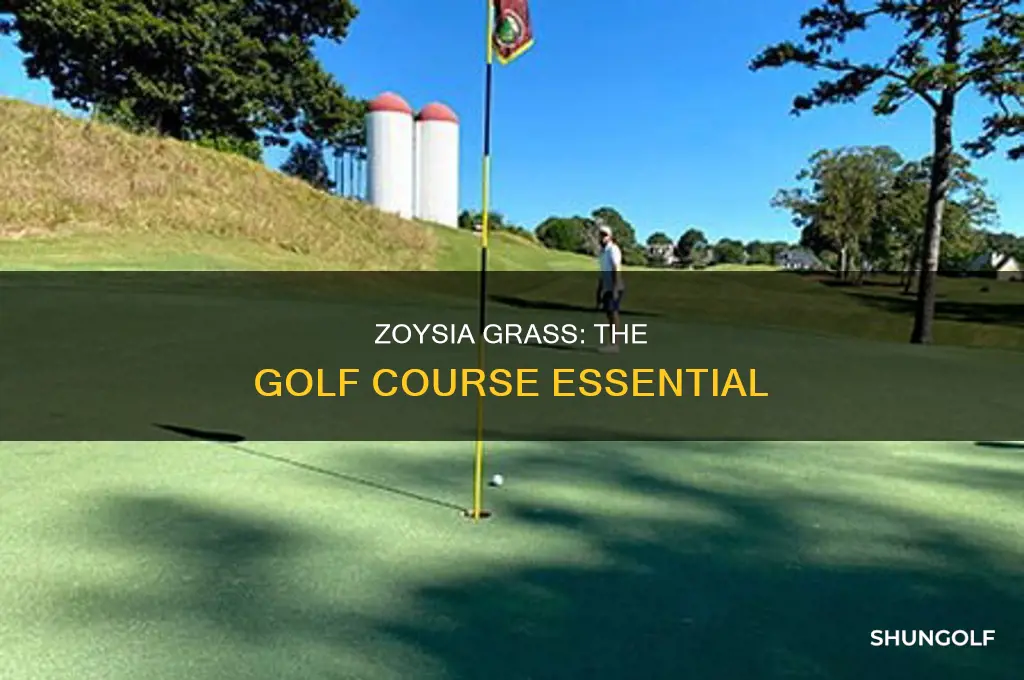 what is zoysia grass golf