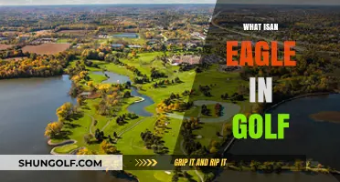 Golf Eagle: How to Score Below Par