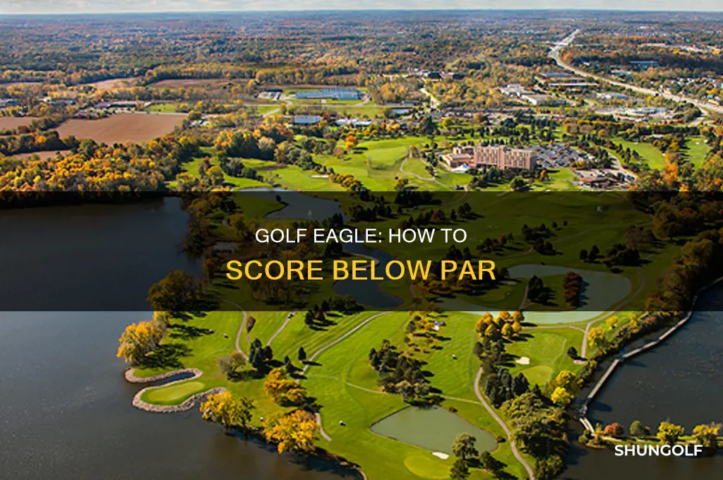 what isan eagle in golf