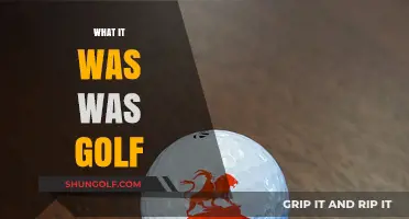 Golf's Evolution: What It Was and Is Now