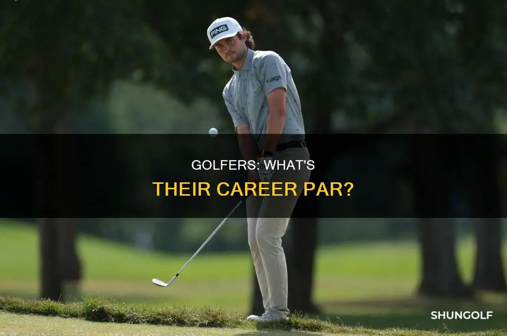 what job usually golfer