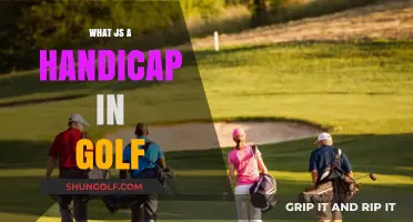 Understanding Golf Handicaps: A Beginner's Guide to Fair Play