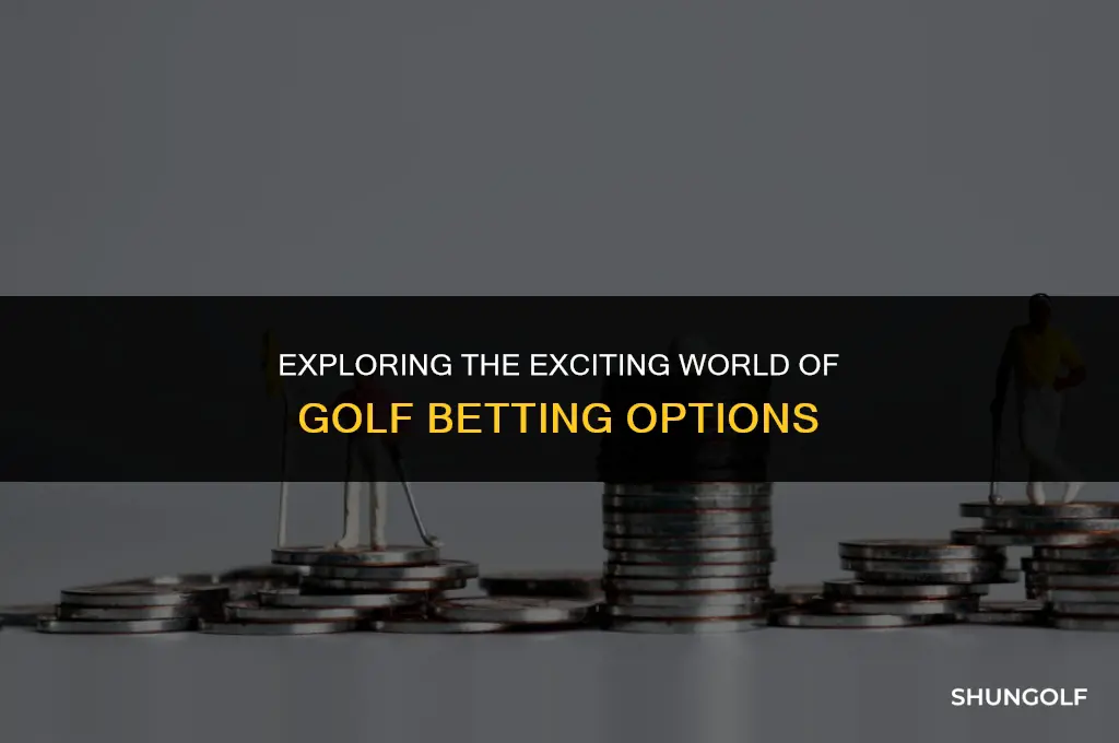 what kind of bets can you make on golf