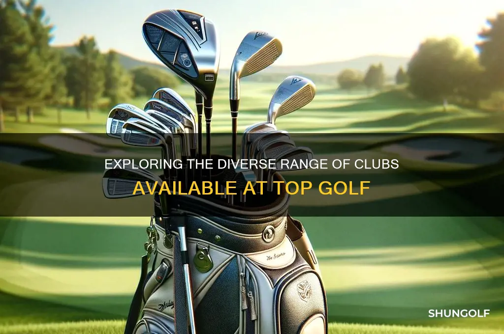 what kind of clubs at top golf