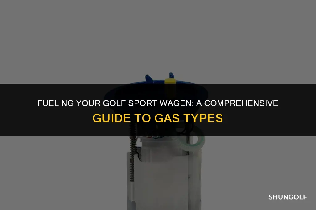what kind of gas does a golf sport wagen use