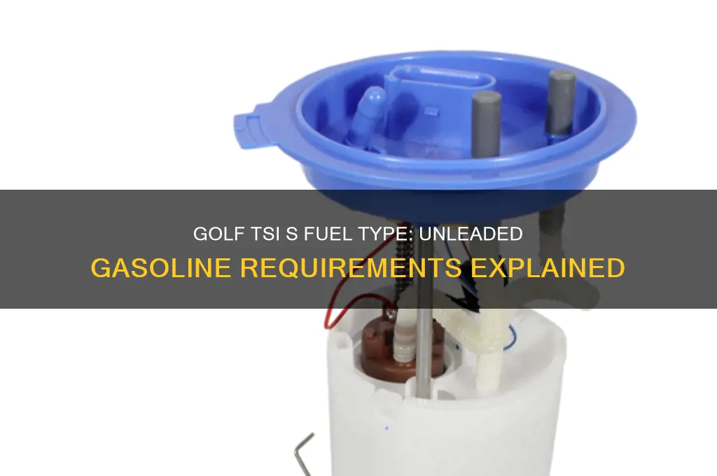 what kind of gas does the golf tsi s take