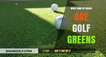 Unveiling the Perfect Turf: What Kind of Grass Are Golf Greens?