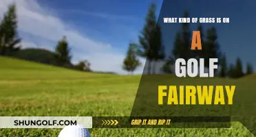 Exploring the Perfect Turf: What Grass Covers Golf Fairways?