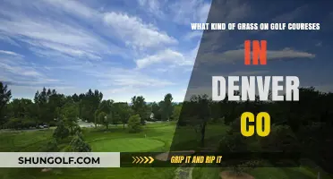Denver Golf Courses: Exploring the Grass Types in Colorado's Greens