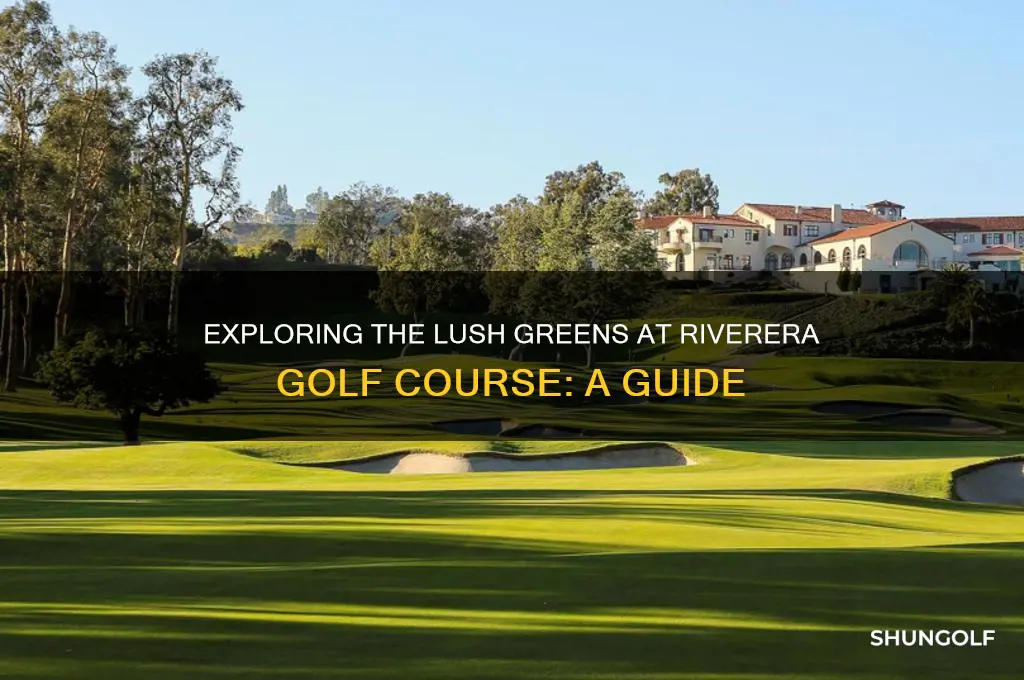 what kind of greens at riverera golf