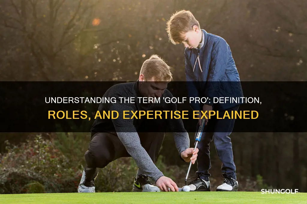 what kind of phrase is a golf pro