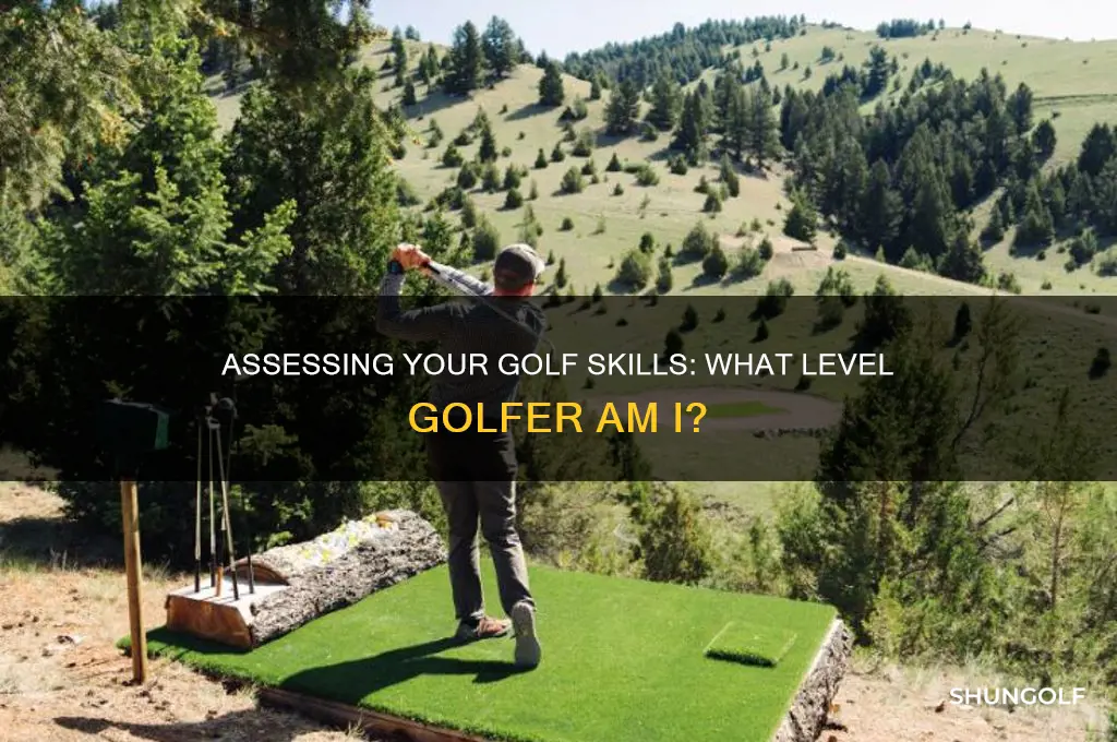 what level golfer am i