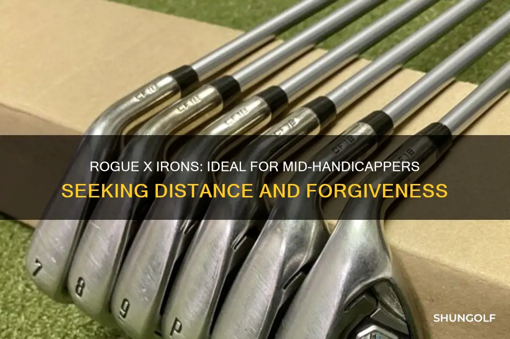 what level of golfer are rogue x irons for