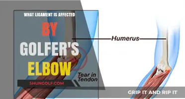 Golfer's Elbow: Understanding the Affected Ligament and Treatment Options