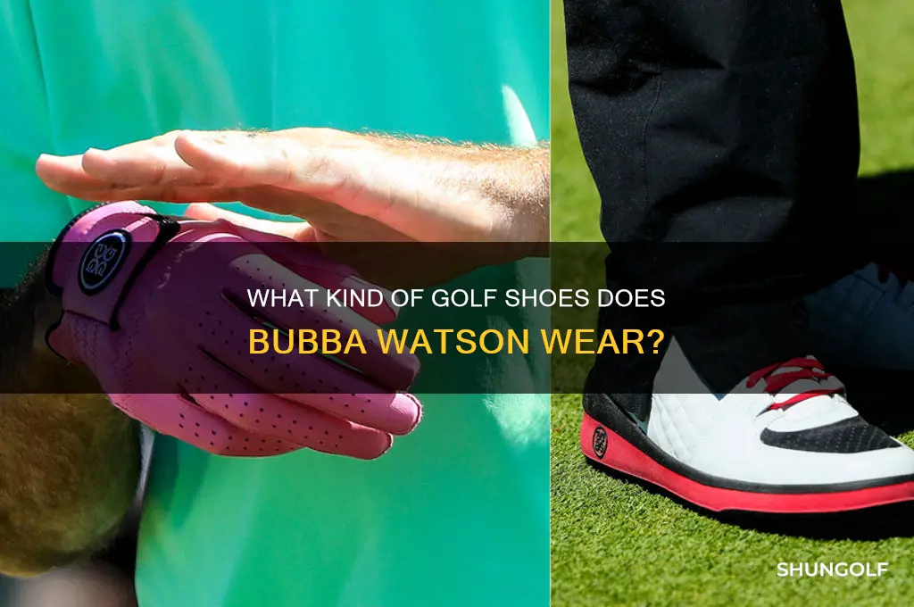 what lind of golf sjoes bubba watson