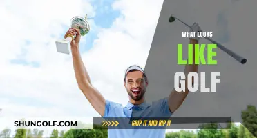Golf Lookalikes: What Sports Resemble Golf?