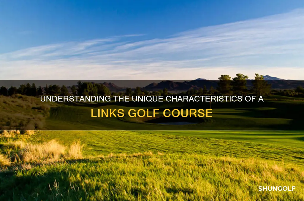 what makes a golf course links