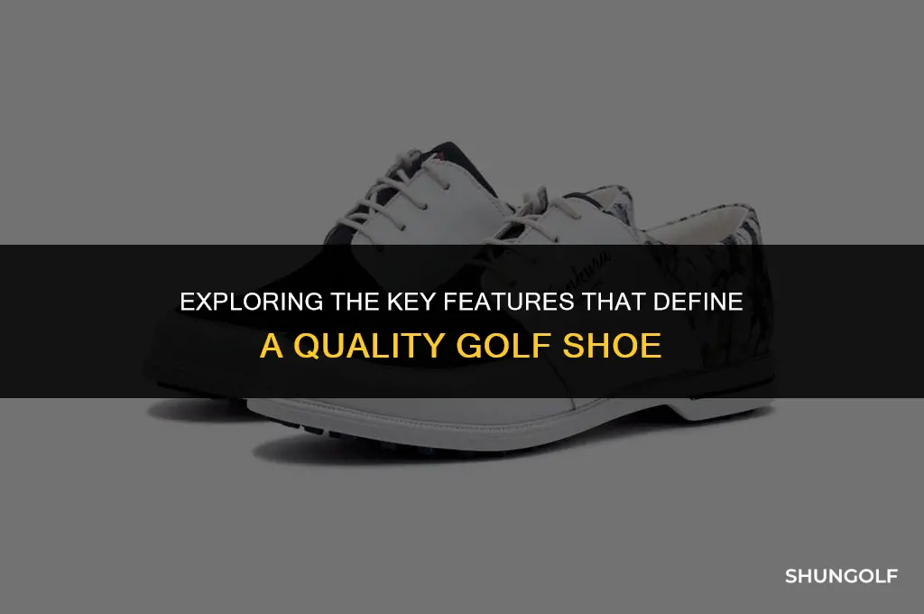what makes a golf shoe