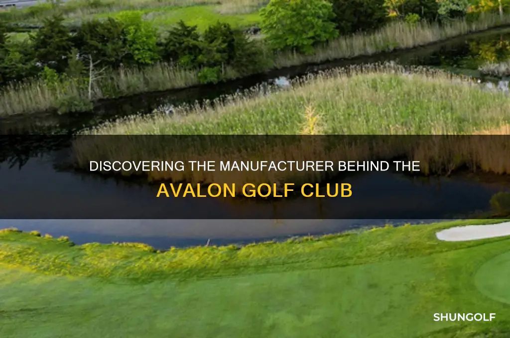 what manufacturer makes the golf club avalon
