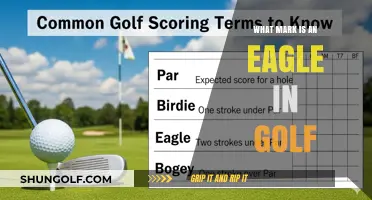 Understanding the Eagle: Golf's Prestigious Scoring Mark Explained