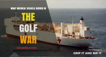 Medical Vessels in the Gulf War: Ships That Served and Saved Lives