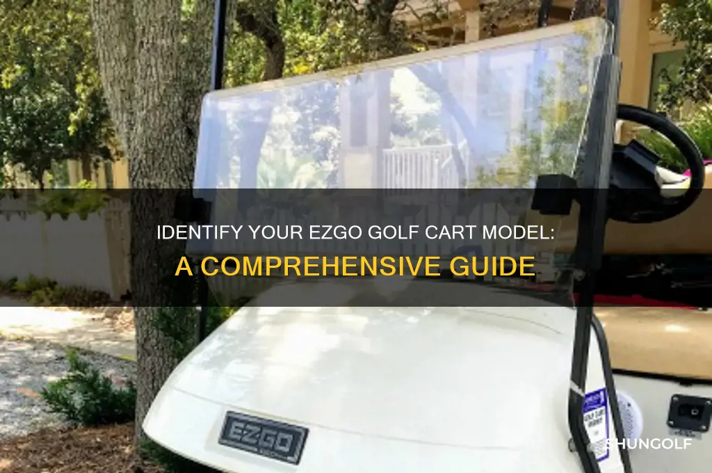 what model is my ezgo golf cart