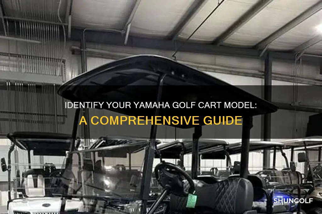 what model is my yamaha golf cart