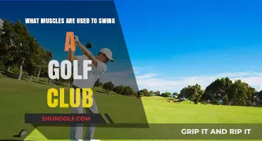 Mastering the Golf Swing: Key Muscles for Power and Precision