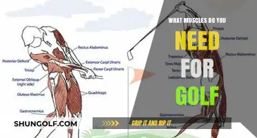 Mastering the Green: Essential Muscles for Golf Performance