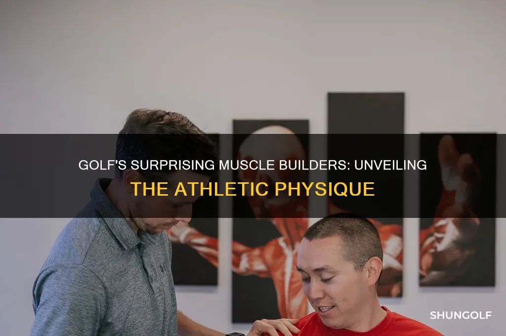 what muscles does golf build