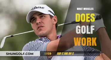Golf's Surprising Full-Body Workout