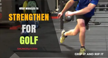 Golf Muscle Strength: What You Need to Know