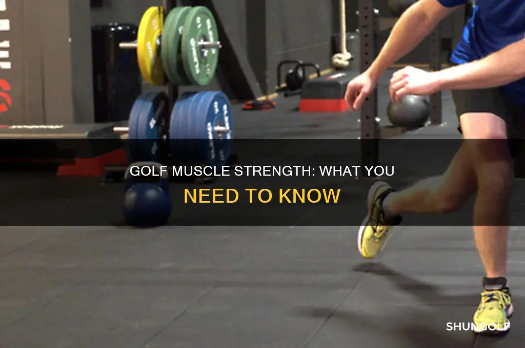 what muscles to strengthen for golf