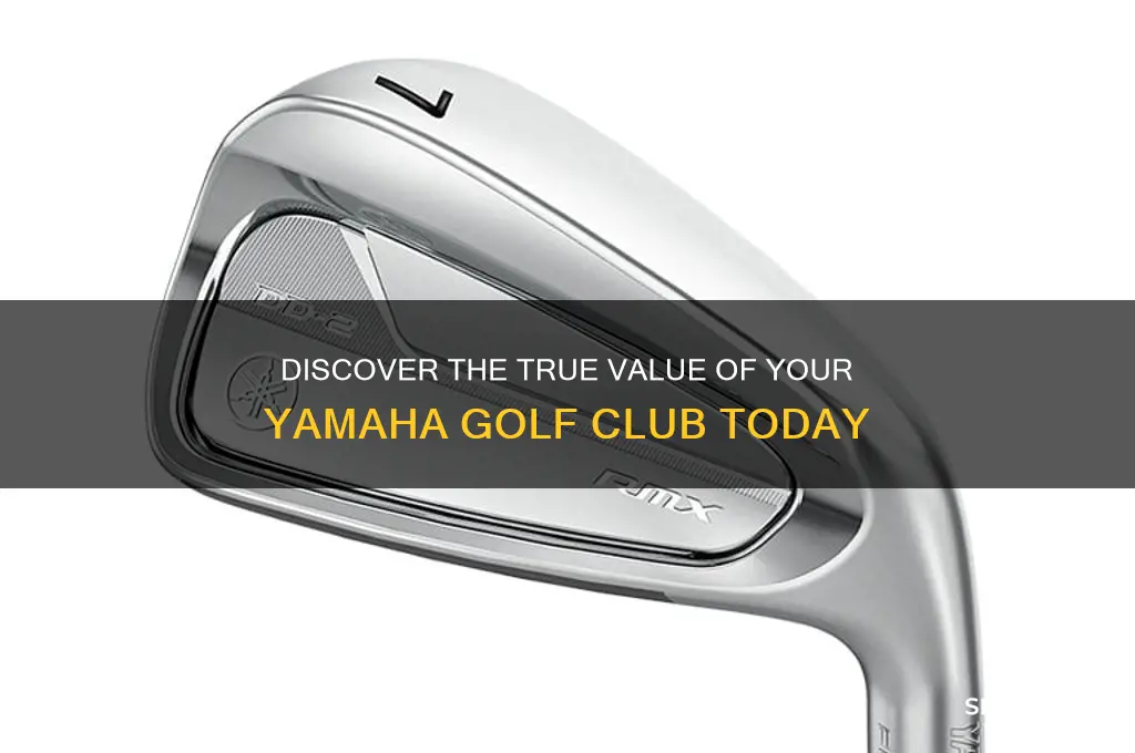 what my yahamha golf club worth