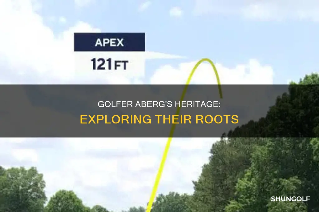 what nationality is aberg golfer