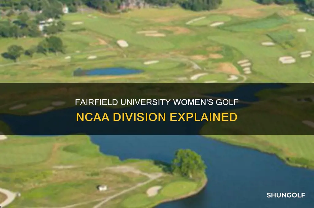 what ncaa division is fairfield university womens golf