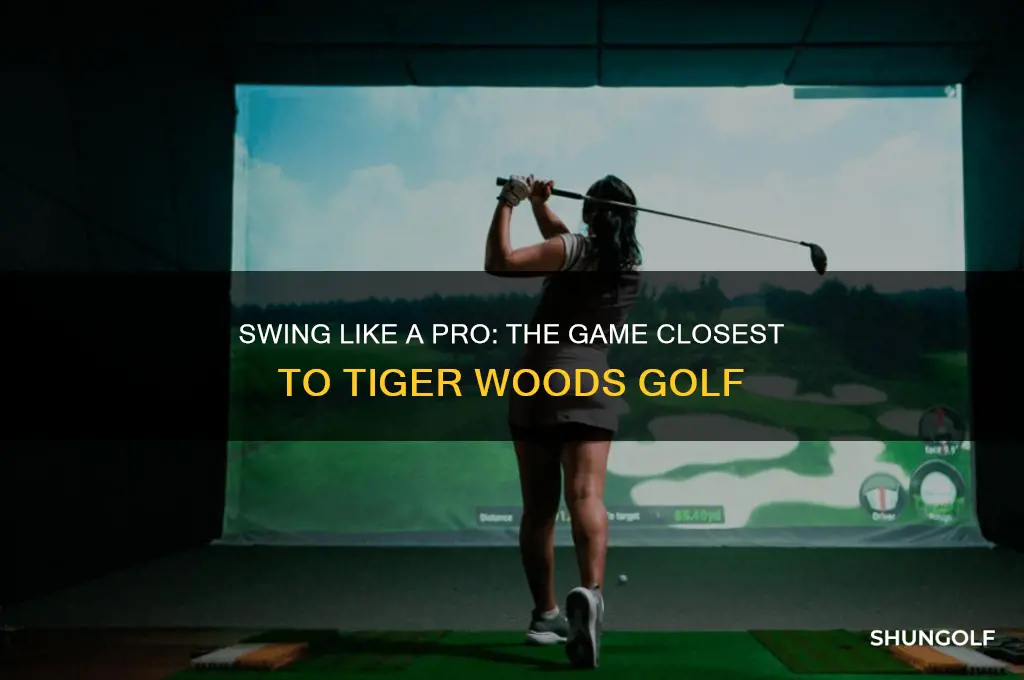 what new game is closest to tiger woods golf