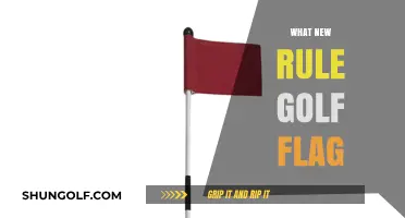 Golf Flagstick Rule: New Changes and Updates