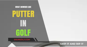 Golf Putters: The Essential 14th Club in Your Bag