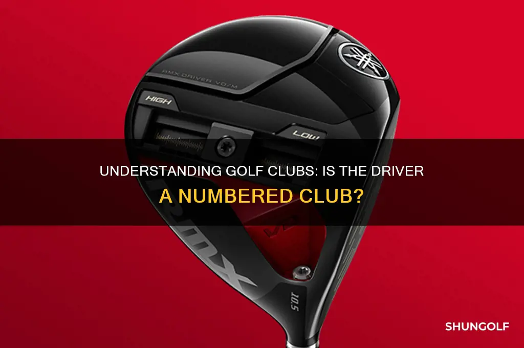 what number golf club is a driver