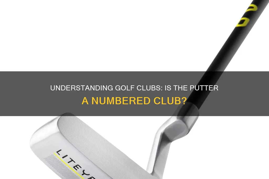 what number golf club is a putter